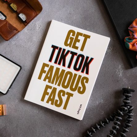10 Ways to Get TikTok Famous Fast - Blog Image