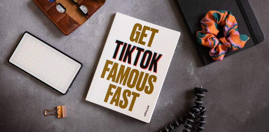 10 Ways to Get TikTok Famous Fast - Blog Image