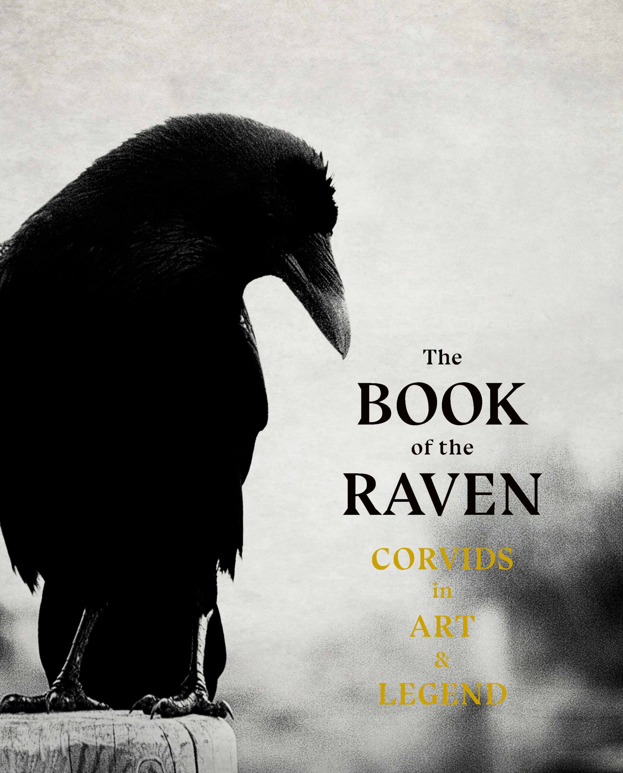 The Book of the Raven - Product Thumbnail