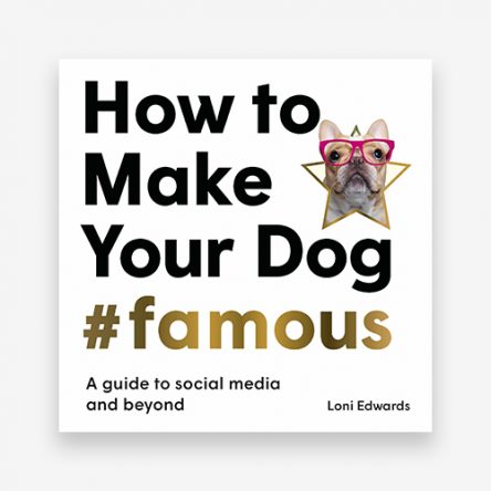 How To Make Your Dog #Famous