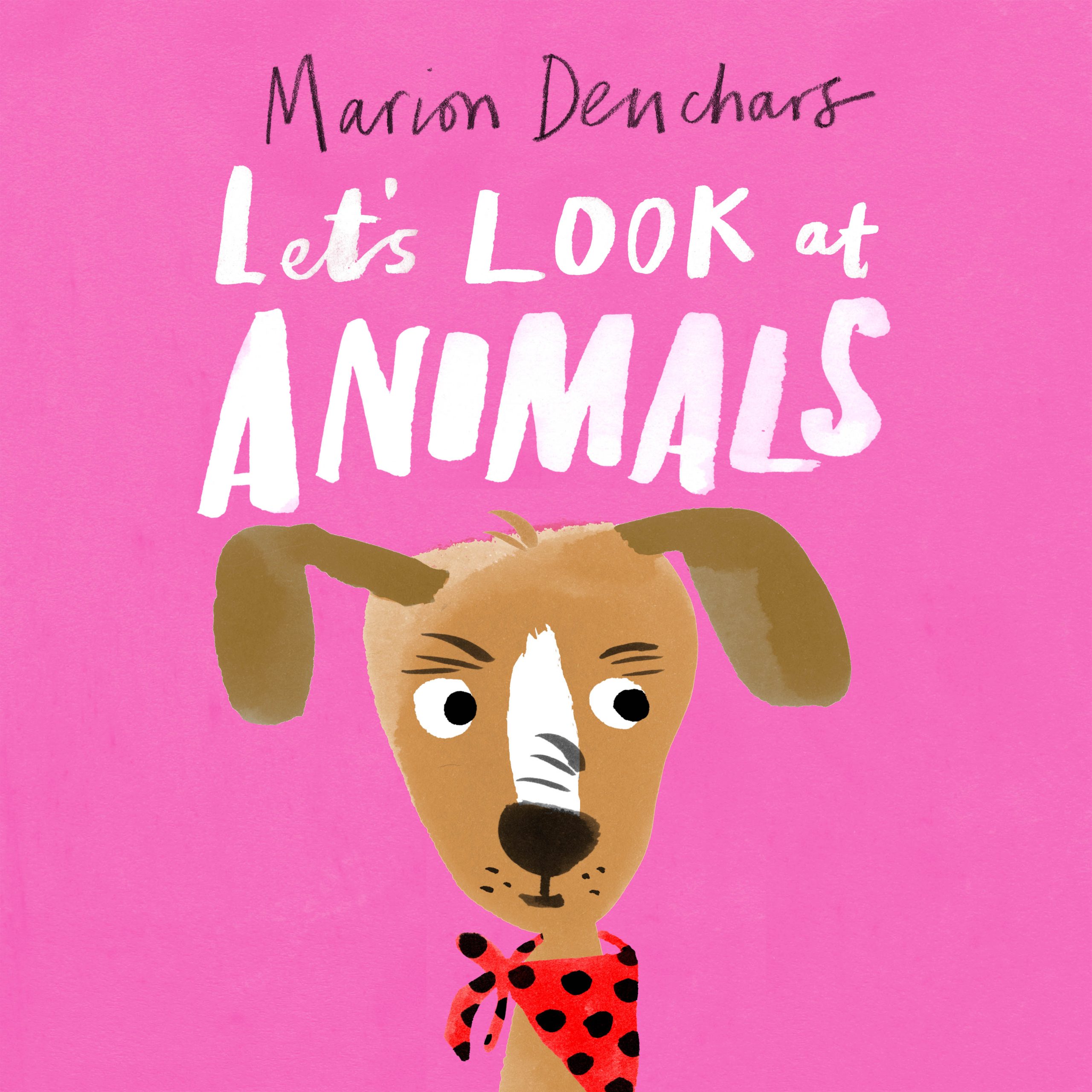 Let’s Look at… Animals - Product Thumbnail