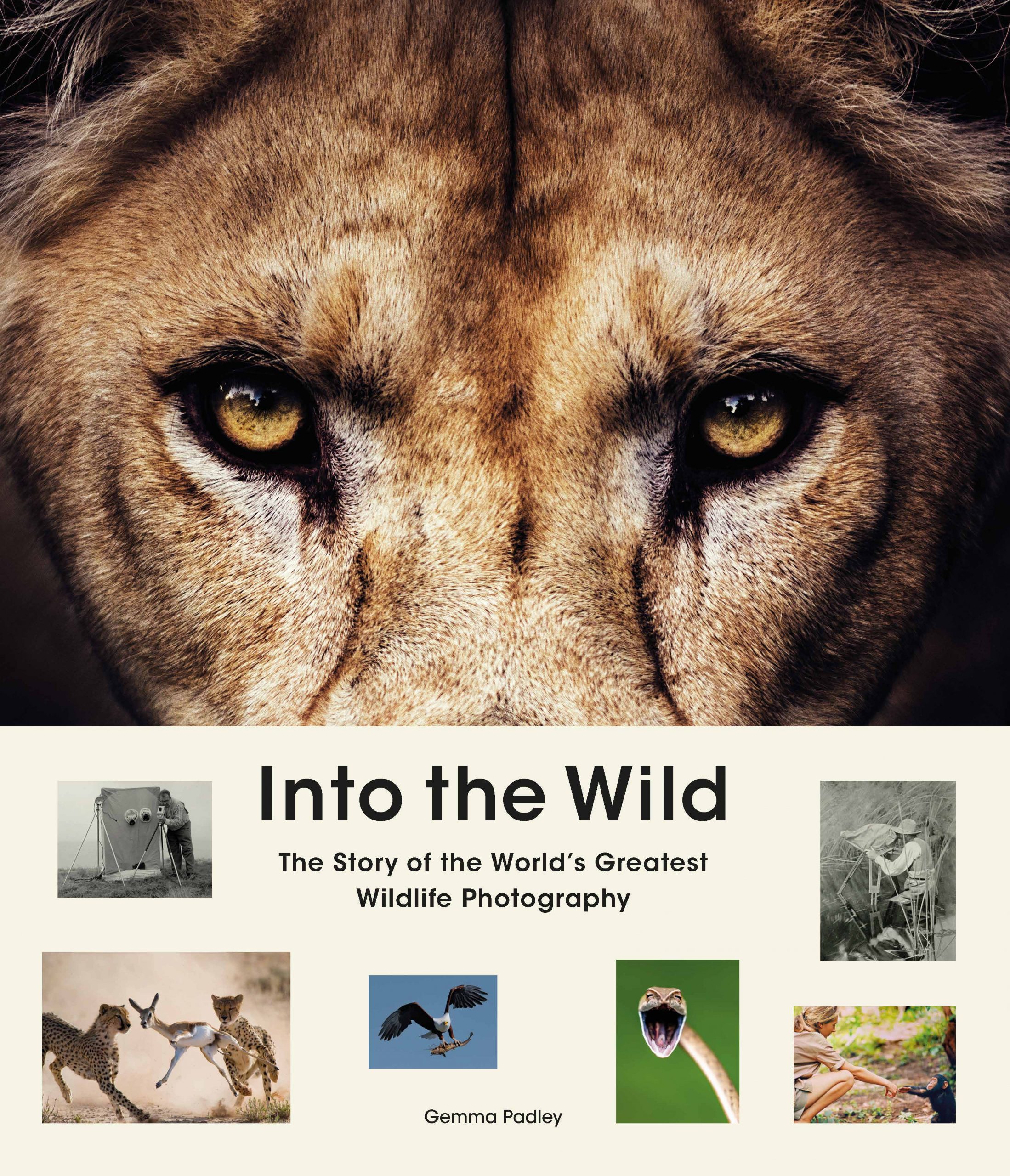 Into the Wild - Product Thumbnail