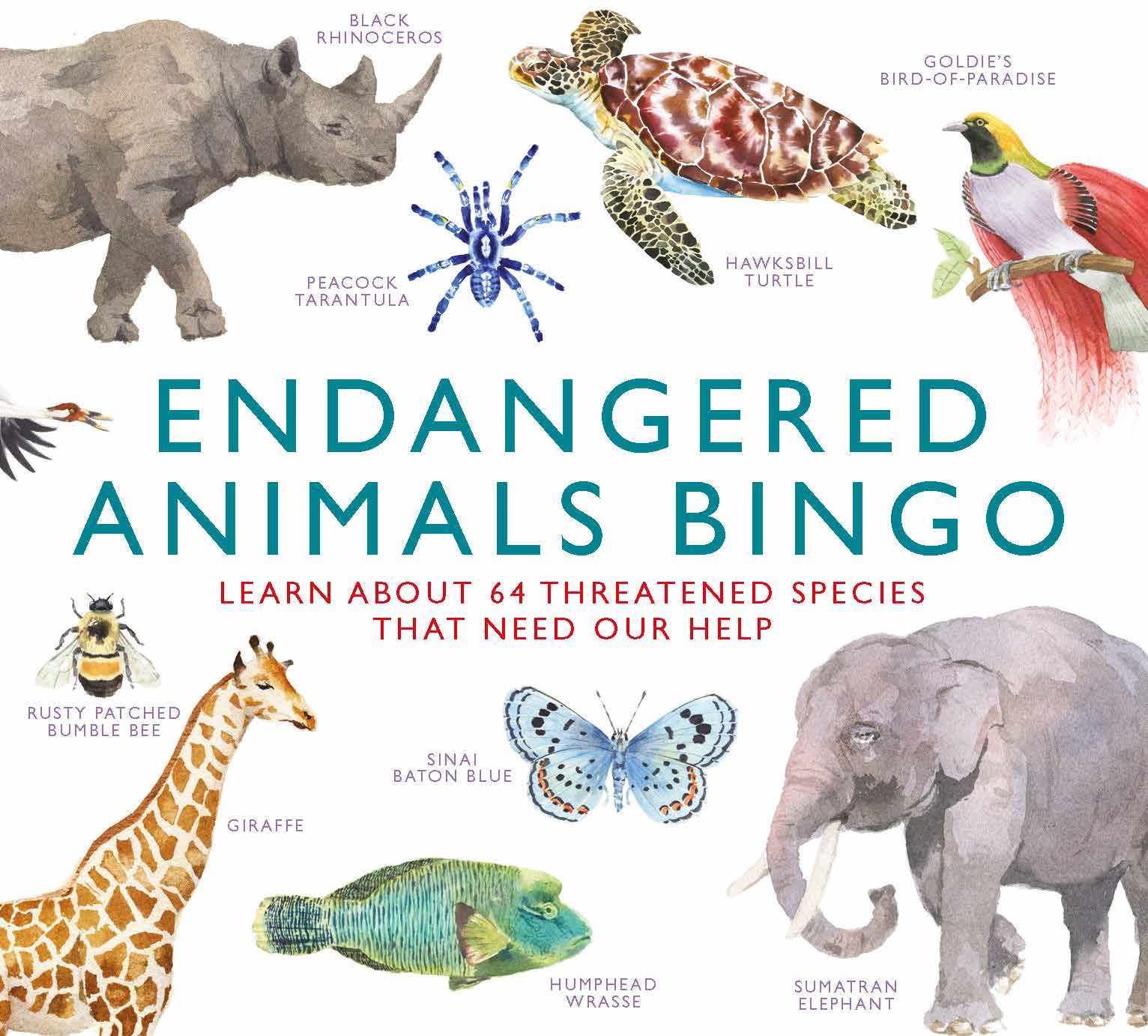 Endangered Animals Bingo - Product Thumbnail